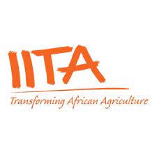 International Institute of Tropical Agriculture (IITA)