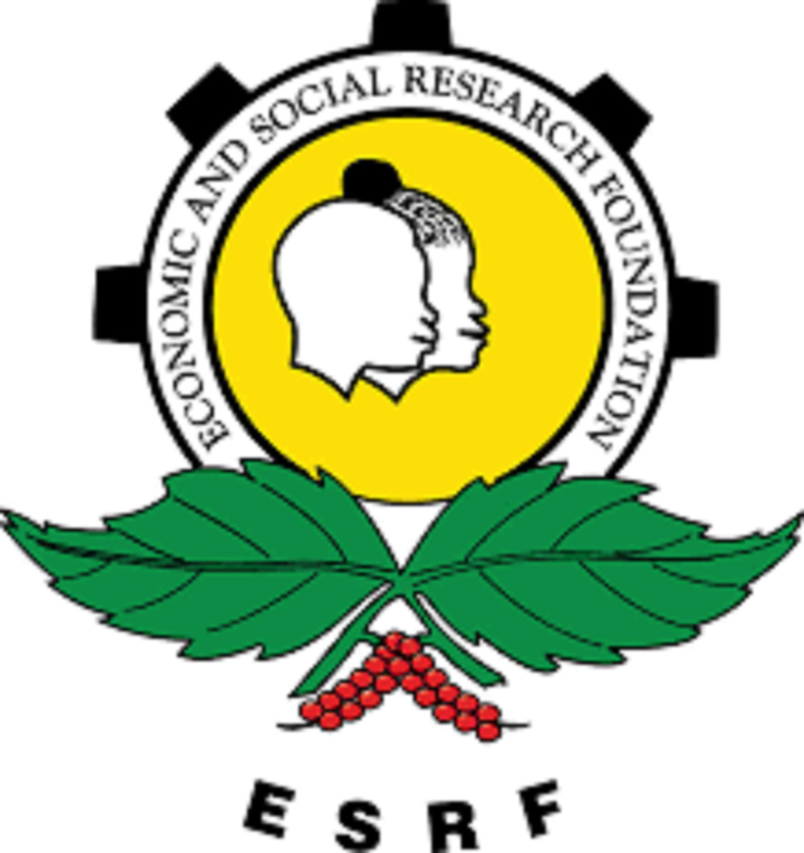 Economic and Social Research Foundation (ESRF)