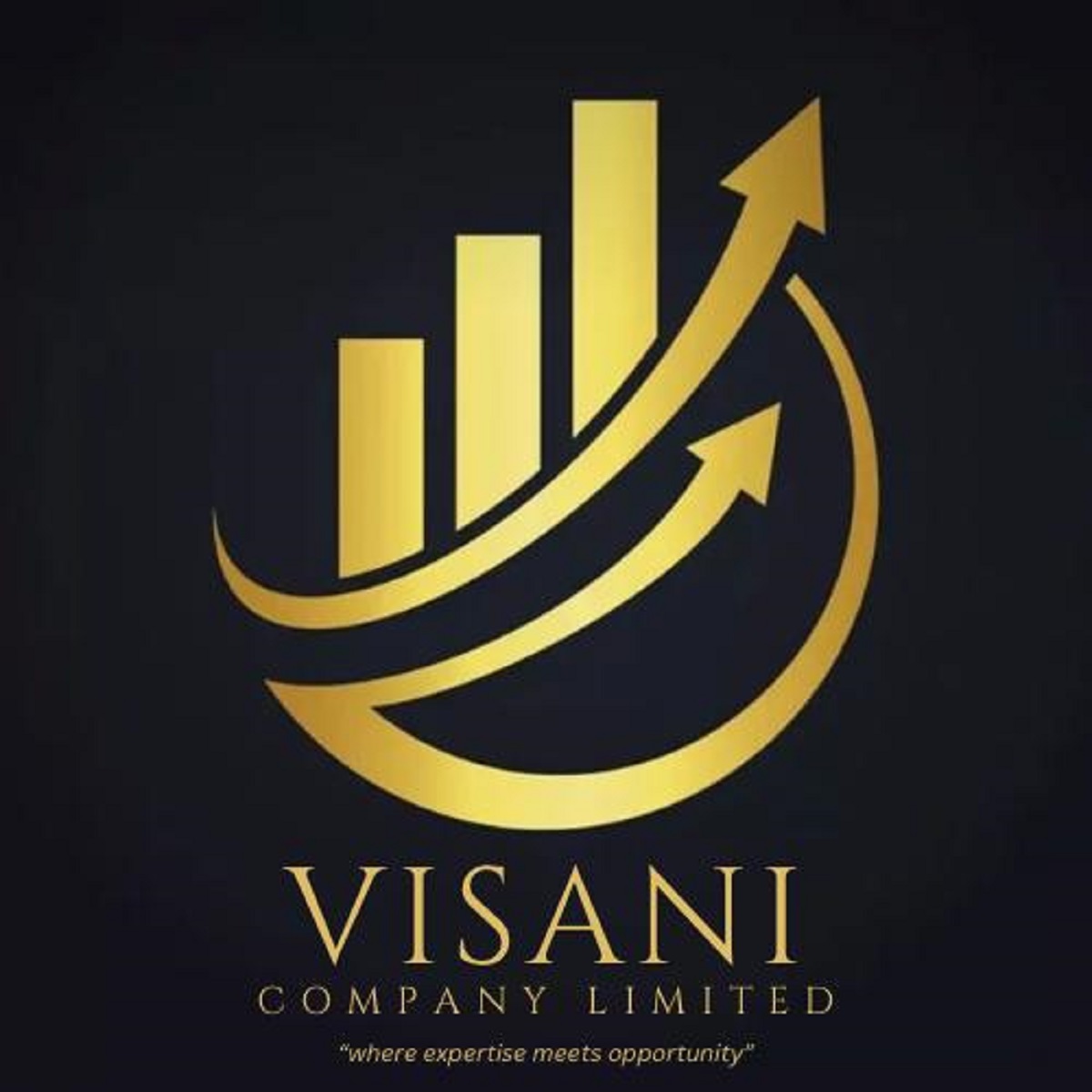 Visani Company Limited